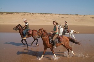 Катание на лошадях в Марокко